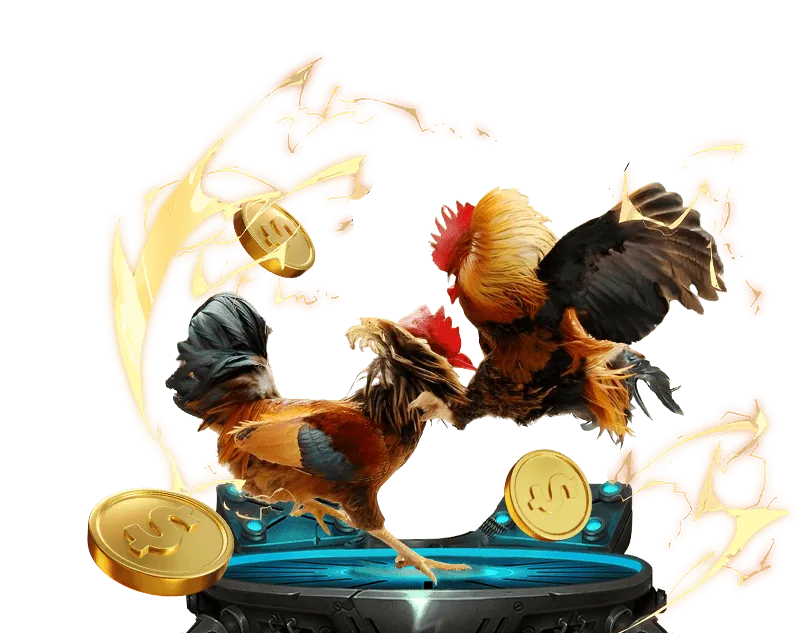 Câu Hỏi Thường Gặp Về Khuyến Mãi rich88